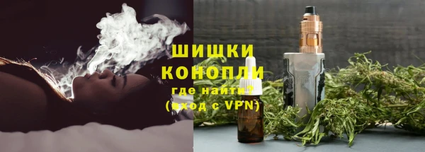 PSILOCYBIN Волосово
