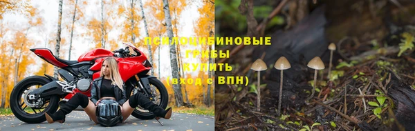 PSILOCYBIN Волосово
